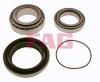 FAG 713613580 Wheel Bearing Kit