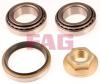 FAG 713678330 Wheel Bearing Kit