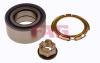 FAG 713644130 Wheel Bearing Kit