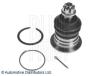 BLUE PRINT ADT386179 Ball Joint