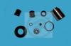 AUTOFREN SEINSA D41160C Repair Kit, brake caliper