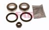 FAG 713678060 Wheel Bearing Kit