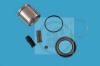 AUTOFREN SEINSA D41077C Repair Kit, brake caliper