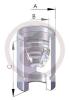 AUTOFREN SEINSA D02589 Piston, brake caliper