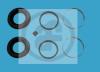 AUTOFREN SEINSA D4202 Repair Kit, brake caliper