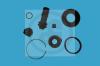 AUTOFREN SEINSA D4294 Repair Kit, brake caliper