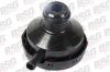 BSG BSG30-700-033 (BSG30700033) Cap, oil filler