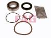 FAG 713678400 Wheel Bearing Kit