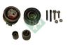 INA 530050309 Pulley Kit, timing belt