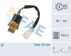 FAE 36360 Temperature Switch, radiator fan