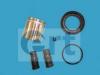 ERT 401247 Repair Kit, brake caliper