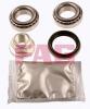 FAG 713619230 Wheel Bearing Kit