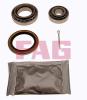 FAG 713619120 Wheel Bearing Kit