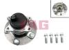 FAG 713626700 Wheel Bearing Kit