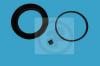 AUTOFREN SEINSA D4945 Repair Kit, brake caliper