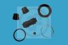 AUTOFREN SEINSA D4824 Repair Kit, brake caliper