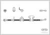 CORTECO 19032908 Brake Hose