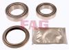 FAG 713618140 Wheel Bearing Kit