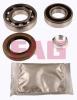 FAG 713619220 Wheel Bearing Kit