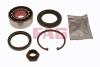 FAG 713650110 Wheel Bearing Kit