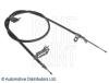 BLUE PRINT ADN146318 Cable, parking brake