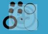 AUTOFREN SEINSA D4231 Repair Kit, brake caliper