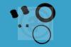 AUTOFREN SEINSA D4273 Repair Kit, brake caliper
