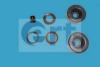 ERT 300424 Repair Kit, wheel brake cylinder