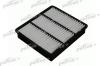 PATRON PF1040 Air Filter