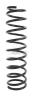 ASAM 30491 Coil Spring