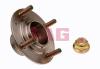 FAG 713619060 Wheel Bearing Kit