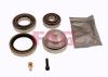 FAG 713667420 Wheel Bearing Kit