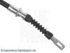 BLUE PRINT ADN146281 Cable, parking brake