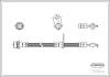 CORTECO 19033579 Brake Hose