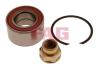 FAG 713690670 Wheel Bearing Kit