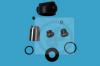 AUTOFREN SEINSA D4962C Repair Kit, brake caliper