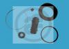 AUTOFREN SEINSA D4213 Repair Kit, brake caliper