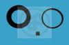 AUTOFREN SEINSA D4337 Repair Kit, brake caliper