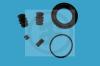 AUTOFREN SEINSA D4623 Repair Kit, brake caliper
