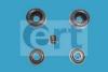 ERT 300419 Repair Kit, wheel brake cylinder