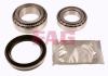 FAG 713613080 Wheel Bearing Kit