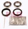 FAG 713613100 Wheel Bearing Kit