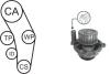 AIRTEX WPK-170302 (WPK170302) Water Pump & Timing Belt Kit