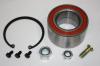 AUTOMEGA 305980625701 Wheel Bearing Kit