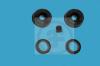 AUTOFREN SEINSA D3286 Repair Kit, wheel brake cylinder