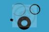 AUTOFREN SEINSA D4347 Repair Kit, brake caliper