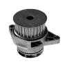 MAGNETI MARELLI 352316171194 Water Pump