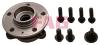 FAG 713660500 Wheel Bearing Kit