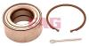 FAG 713613780 Wheel Bearing Kit