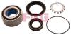 FAG 713613880 Wheel Bearing Kit